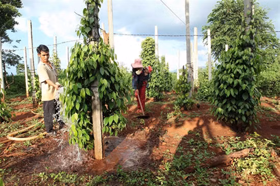 Làm trong sạch địa bàn phức tạp về ma túy ảnh 2