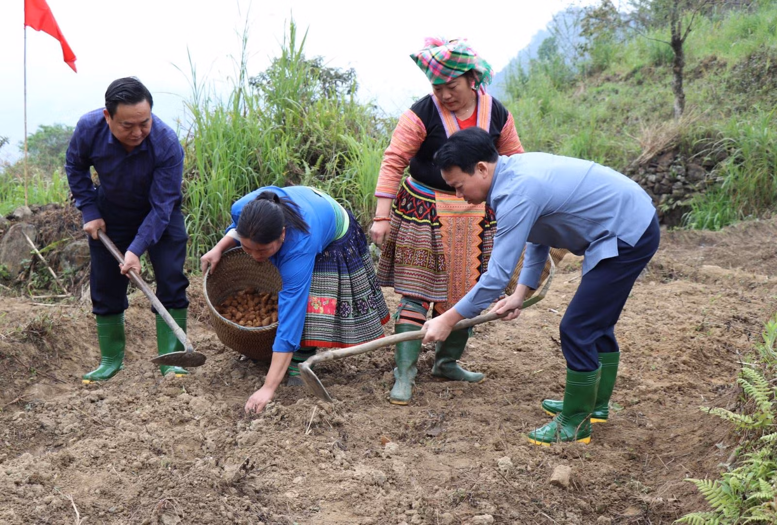 Chú thích ảnh