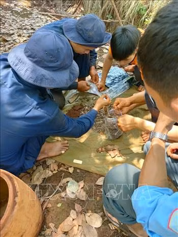 Chú thích ảnh