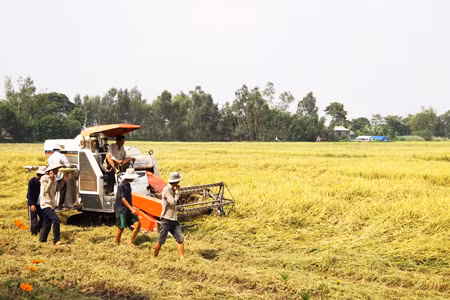 Khơi dòng vốn FDI ảnh 2