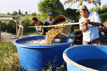 Khơi dòng vốn FDI ảnh 1