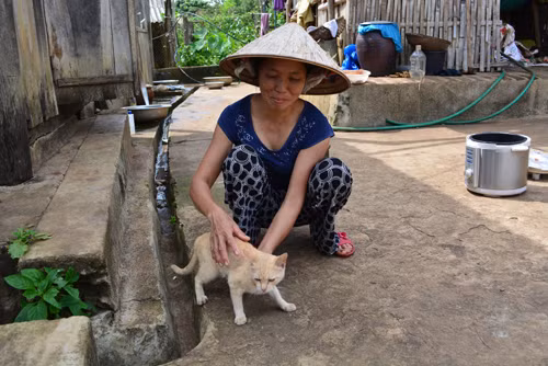 "Nghị quyết nuôi mèo" giúp dân no ấm ảnh 2