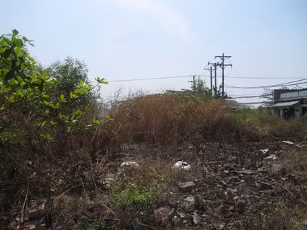 Cảnh giác với cháy cỏ mùa khô ảnh 1
