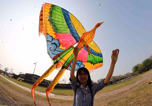Chiêm ngưỡng “Những cánh bay Việt Nam” tại liên hoan diều Festival Huế ảnh 4