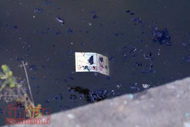 Nhà sư, chàng thanh niên Mỹ cùng chung tay 'thả cá văn minh' ảnh 14