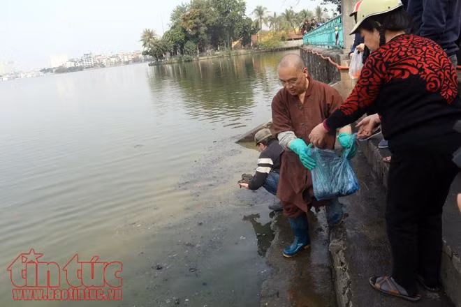 Nhà sư, chàng thanh niên Mỹ cùng chung tay 'thả cá văn minh' ảnh 11