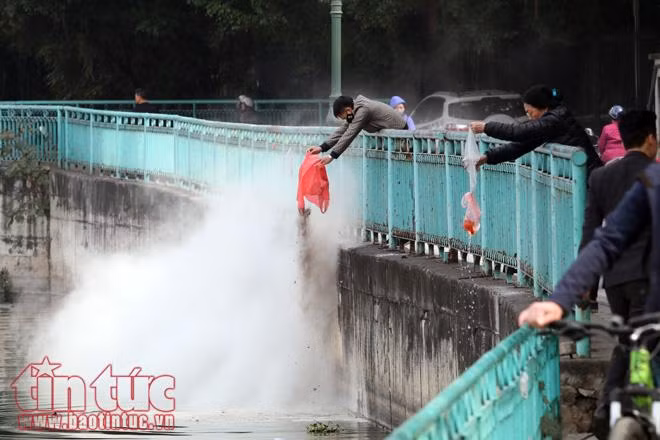 Nhà sư, chàng thanh niên Mỹ cùng chung tay 'thả cá văn minh' ảnh 17