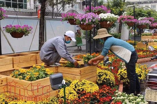 TP Hồ Chí Minh cấm một số tuyến đường để phục vụ các hoạt động lễ hội Tết 2018 ảnh 1