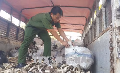  Bắt quả tang vận chuyển 1,2 tấn mỡ, sản phẩm động vật bốc mùi hôi thối ảnh 1