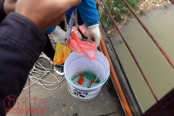 Nhà sư, chàng thanh niên Mỹ cùng chung tay 'thả cá văn minh' ảnh 5