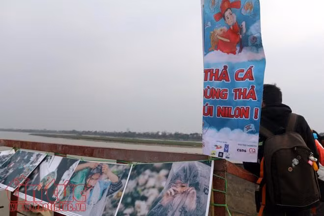 Nhà sư, chàng thanh niên Mỹ cùng chung tay 'thả cá văn minh' ảnh 7