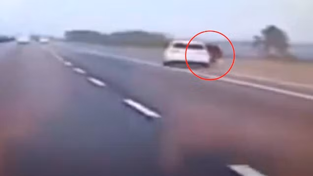 Cãi nhau với bạn trai, cô gái nhảy ra khỏi ô tô trên đường cao tốc ảnh 1