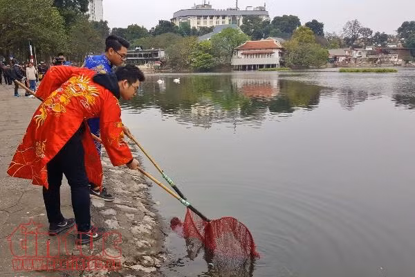 Xem cá chép của ông Công, ông Táo chờ chầu Trời ở 'hồ Thiên Nga’ ảnh 6
