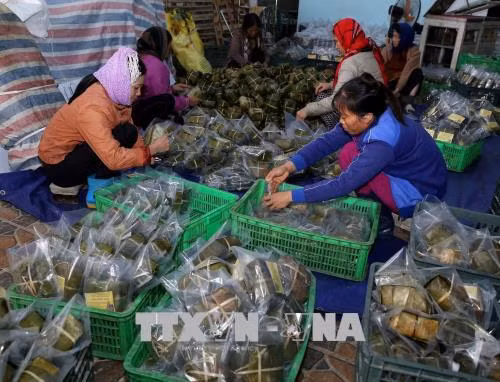 Làng nghề Tranh Khúc cung cấp cho thị trường gần 470.000 chiếc bánh chưng ảnh 8