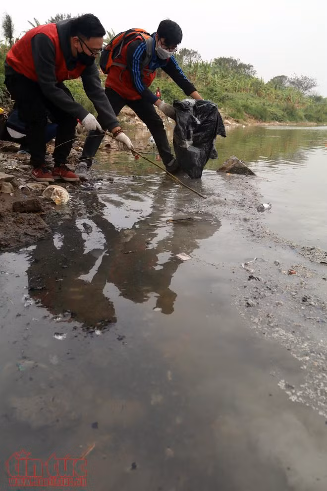 Nhà sư, chàng thanh niên Mỹ cùng chung tay 'thả cá văn minh' ảnh 8