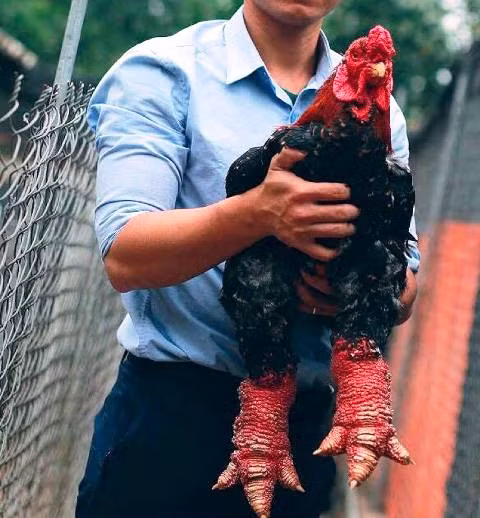 'Săn' đặc sản Việt tại các phiên chợ Tết, chợ Xuân ảnh 7