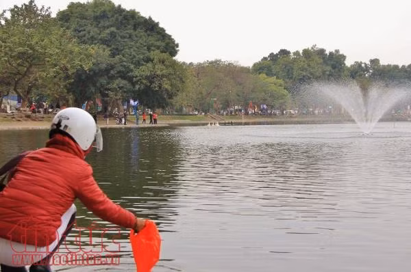 Xem cá chép của ông Công, ông Táo chờ chầu Trời ở 'hồ Thiên Nga’ ảnh 2