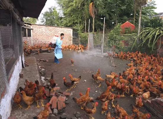 Lo ngại dịch cúm, dịch sởi bùng phát trước thềm Tết Nguyên đán và mùa lễ hội ảnh 1