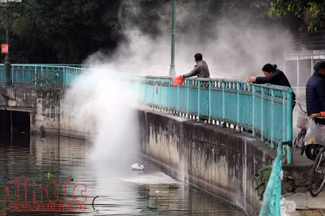 Nhà sư, chàng thanh niên Mỹ cùng chung tay 'thả cá văn minh' ảnh 16