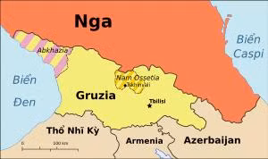 NATO sẽ kết nạp Gruzia nếu Crimea sáp nhập Nga ảnh 1