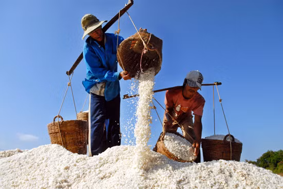 Phát triển và bảo tồn nghề muối tại huyện Cần Giờ ảnh 4