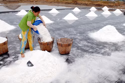 Phát triển và bảo tồn nghề muối tại huyện Cần Giờ ảnh 9