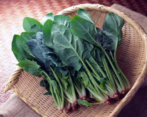 Ăn rau chân vịt ngăn béo phì ảnh 1