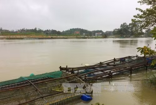 Các hồ thủy điện ở Thừa Thiên-Huế xả lũ gây úng ngập cục bộ ảnh 1
