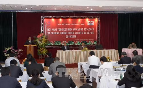 Nhiều nỗi lo niên vụ cà phê 2016-2017 ảnh 1