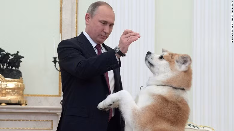 Chó cưng sủa váng phòng khi ông Putin đón khách ảnh 1