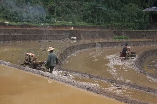 Sử dụng hiệu quả vốn vay để giảm nghèo ảnh 2