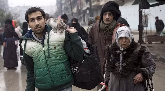 Aleppo: Hàng trăm tay súng đầu hàng, hàng nghìn người di tản ảnh 1