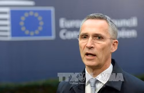 NATO tái khẳng định không can dự cuộc chiến ở Syria ảnh 1
