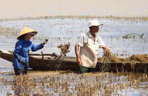 Đắk Lắk thiệt hại nặng do mưa lớn kéo dài ảnh 1