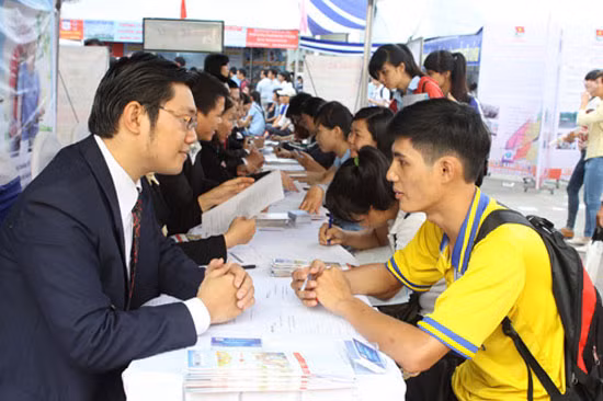 Thống kê sinh viên có việc làm để giảm thất nghiệp ảnh 1