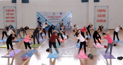 Thành lập Liên đoàn Yoga Việt Nam ảnh 1