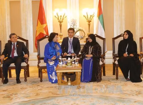 Chủ tịch Quốc hội Nguyễn Thị Kim Ngân gặp Chủ tịch Hội đồng Liên bang UAE ảnh 1