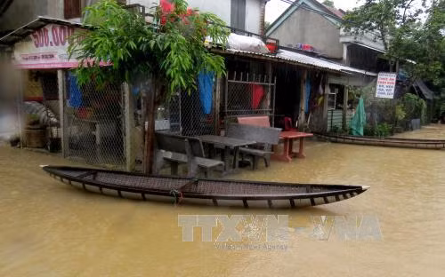 Năm nay, thời tiết mùa đông diễn biến rất bất thường ảnh 1