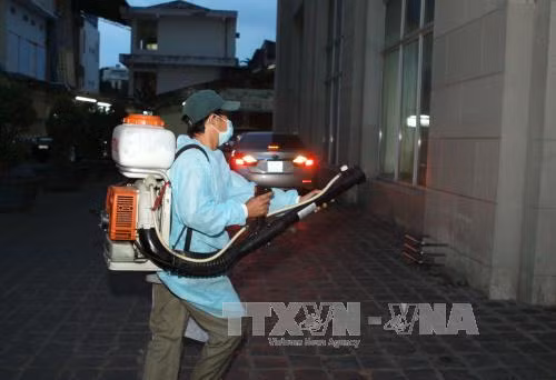 Thêm một thai phụ nhiễm Zika tại TP Hồ Chí Minh ảnh 1