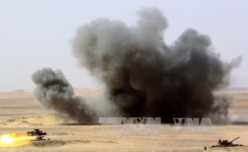 Mỹ và UAE tập trận lục quân chung ảnh 1