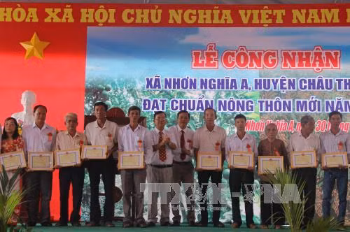 Nhơn Nghĩa A chuyển mình nhờ trồng cây ăn quả có giá trị kinh tế cao ảnh 1