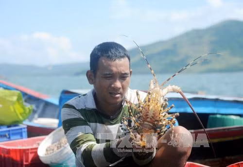 Chỉ đạo điều hành trong lĩnh vực nông nghiệp và giao thông ảnh 1