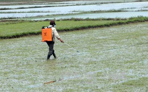 Miền Trung chủ động phó mưa lũ ảnh 1