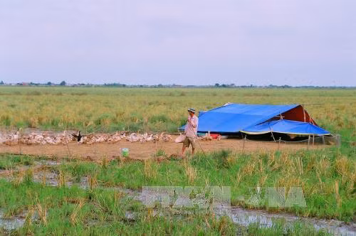 Bạc Liêu chậm giải ngân vốn xây dựng cơ bản ảnh 1