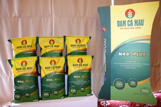 Đạm Cà Mau ra mắt sản phẩm mới N46.Plus ảnh 1