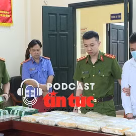 Tin nóng trong nước nghe nhanh sáng 23/4