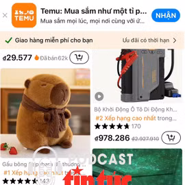 Trước sự ‘bùng nổ’ của Temu, chuyên gia đề xuất xây dựng hàng rào thuế quan thương mại