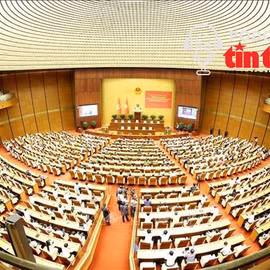 Tin nóng trong nước ngày 29/7/2026