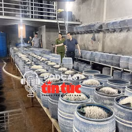 Tin nóng trong nước sáng 28/5/2025