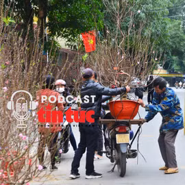 Tin nóng trong nước nghe nhanh sáng 25/11